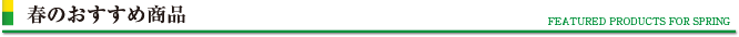 春の季節商品