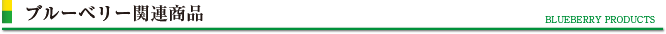 ブルーベリー関連